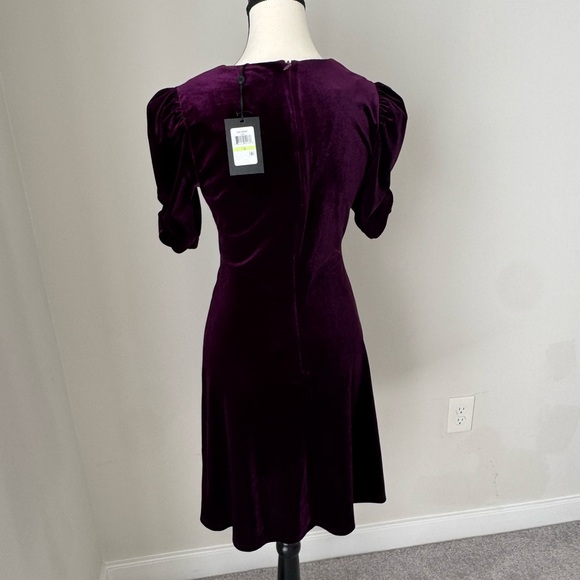 Elegant Purple Velvet Dress - Picture 4 of 5